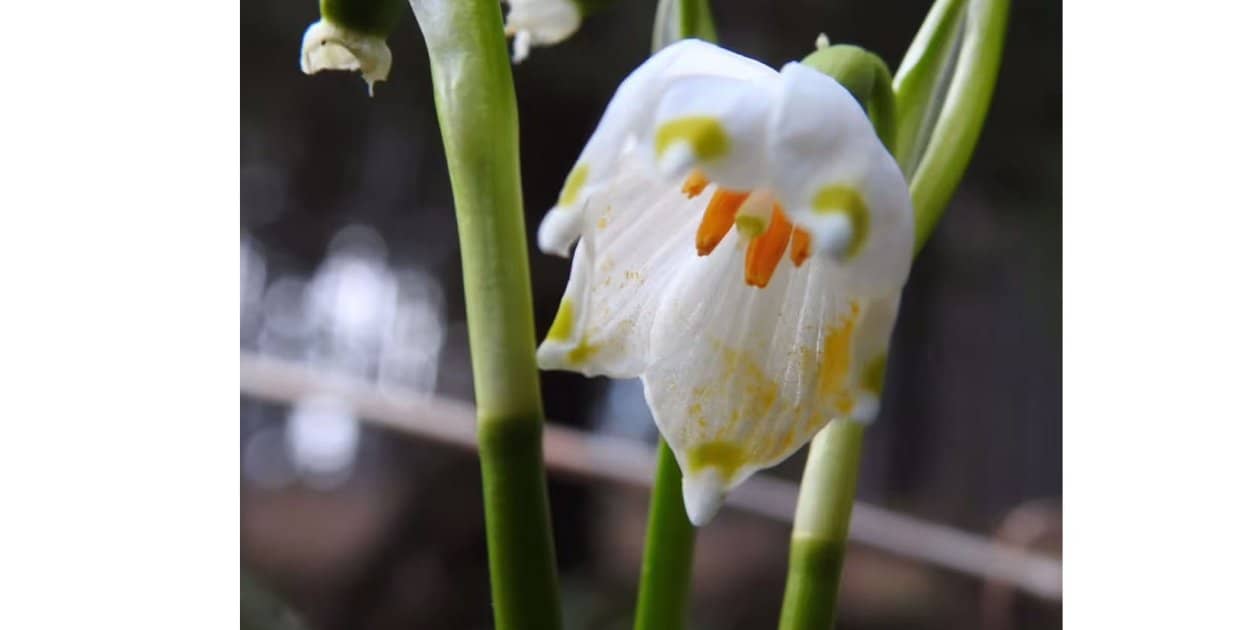 Karkonoski Park Narodowy