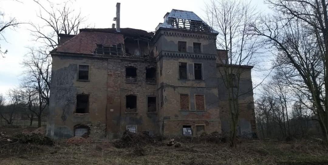 Zdjęcie