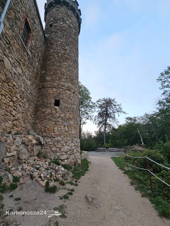 Zamek Księcia Henryka