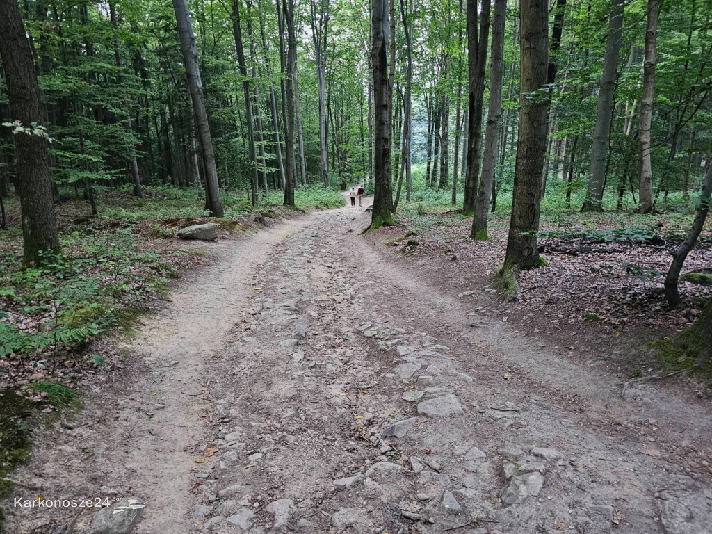 Zamek Księcia Henryka