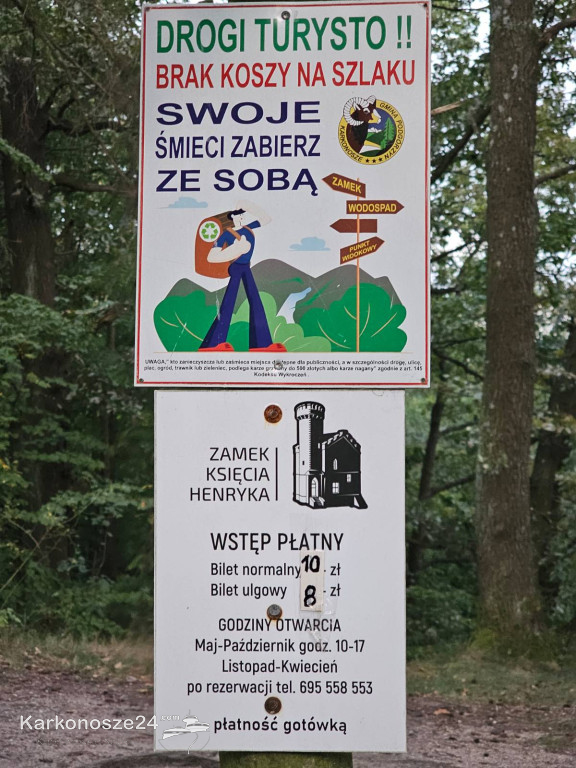 Zamek Księcia Henryka