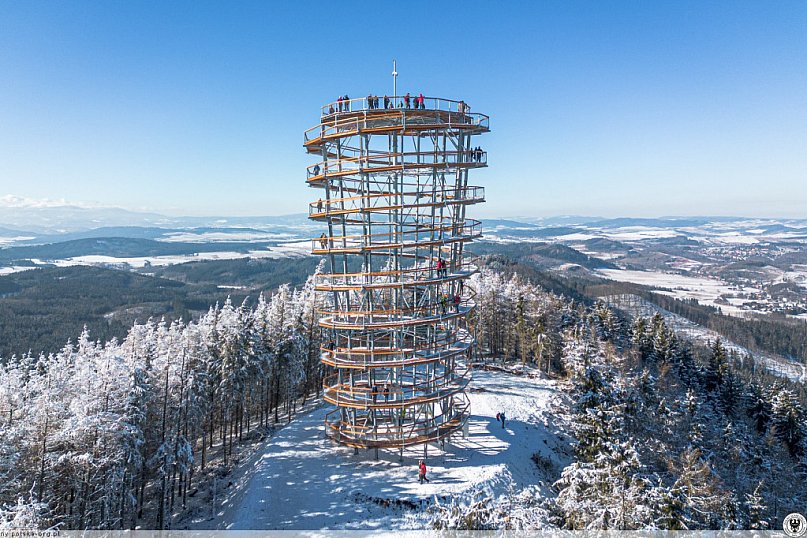 Wieża widokowa w Dzikowcu