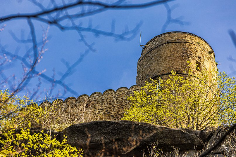  Zachwyceni Chojnikiem