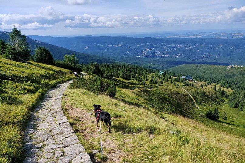 Słońce mimo prognoz