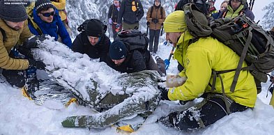 Rekordowe warsztaty lawinowe