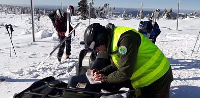 Sypnęło mandatami dla narciarzy