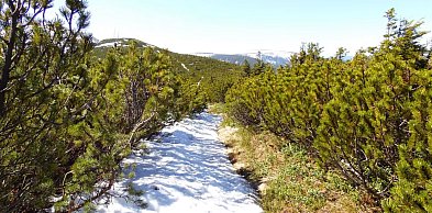 Prawie maj, a w Karkonoszach cały czas śnieg