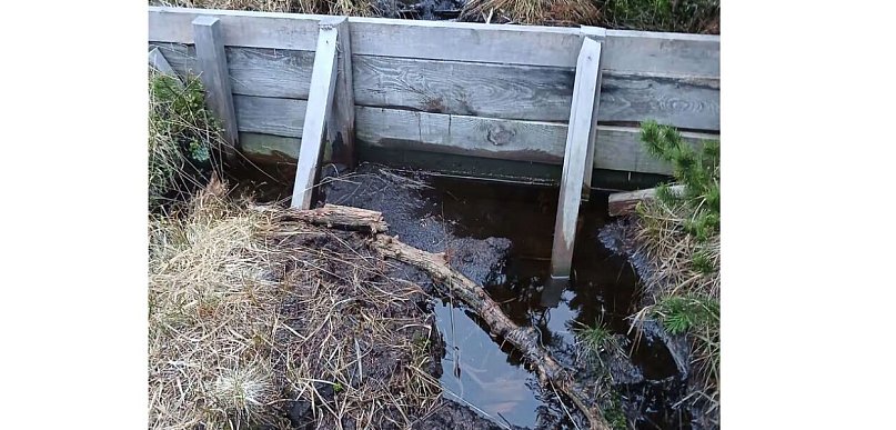 Woda wraca na torfowiska