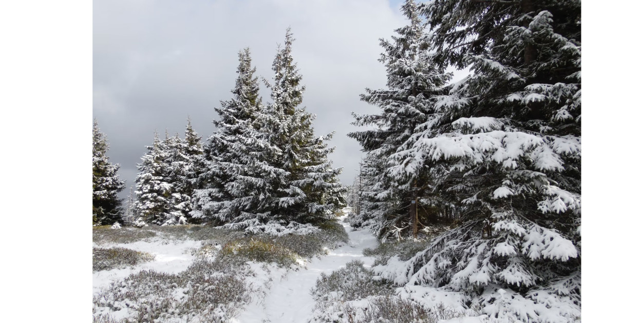 Karkonoski Park Narodowy